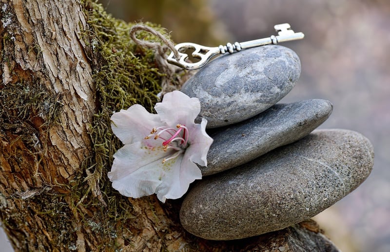 Emotional Balance