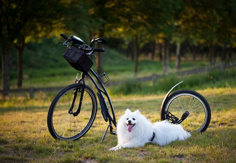 Physical Activity